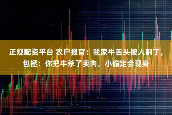 正规配资平台 农户报官：我家牛舌头被人割了，包拯：你把牛杀了卖肉，小偷定会现身